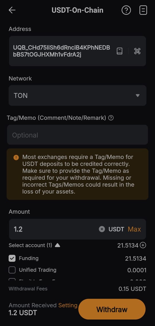 Copy TON network address and send payment